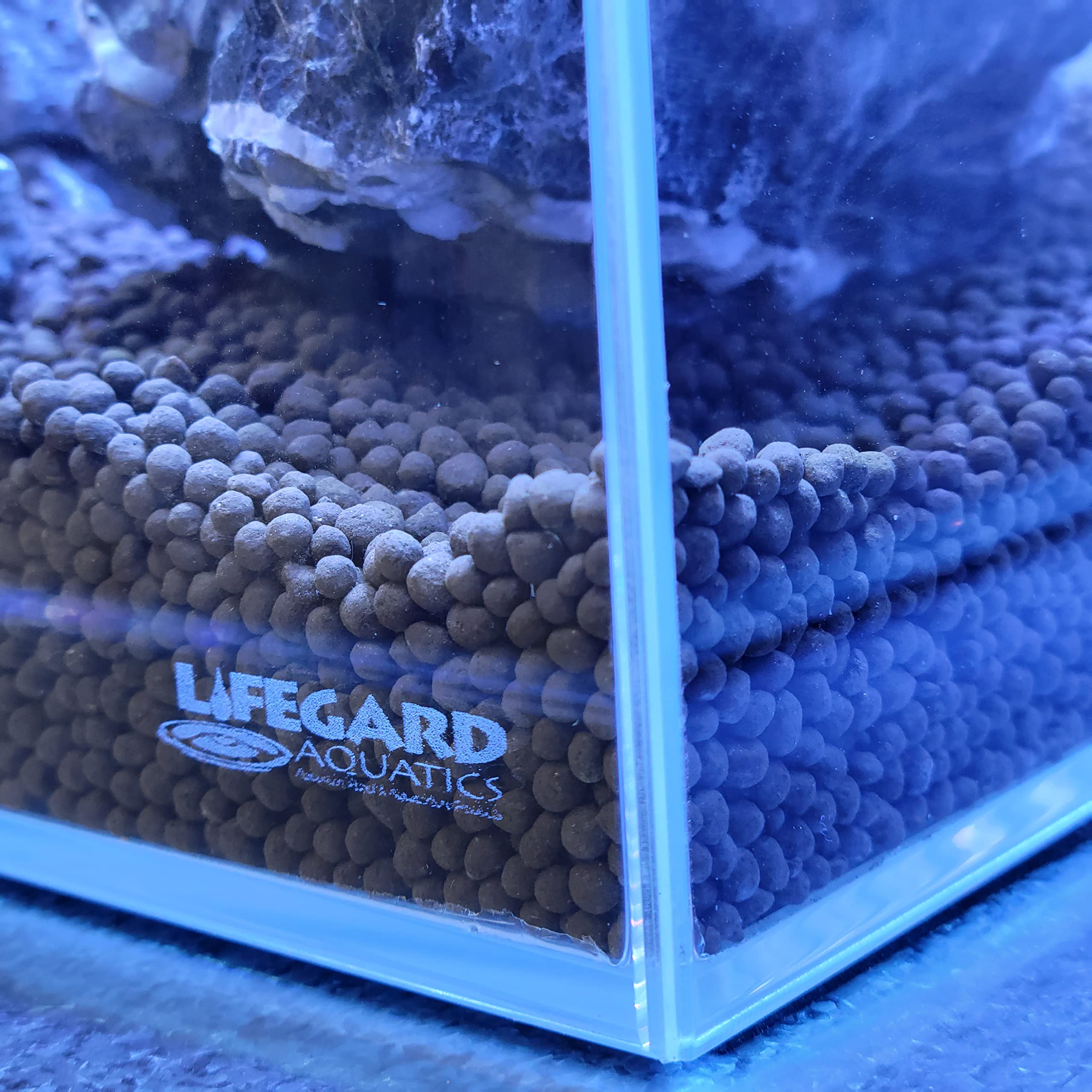 Lifegard Aquatics 10 Gallon Rimless Clear Glass Aquarium 5mm